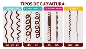 Tipos de curvatura