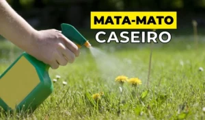 Mata-Mato caseiro para acabar com o mato do jardim gastando 5 reais