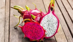 Como plantar Pitaya no vaso