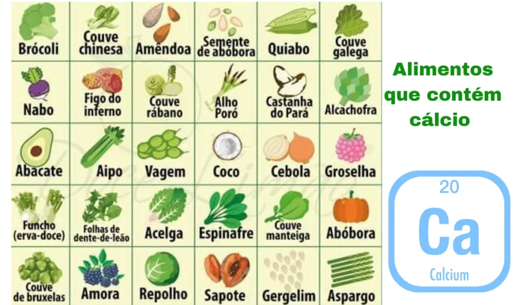 Alimentos que contém cálcio