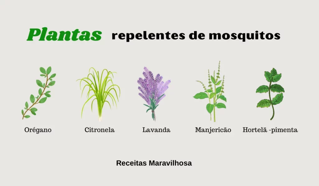 plantas repelentes