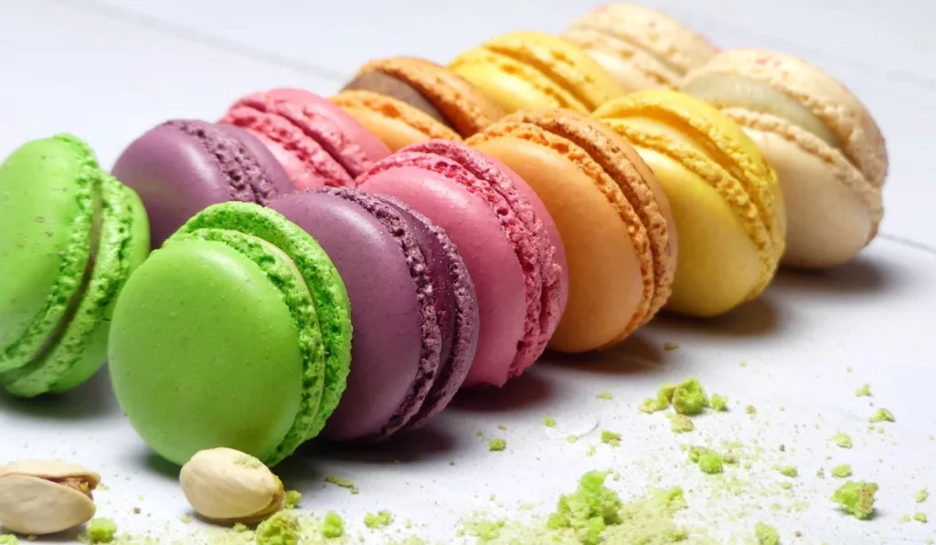 Macaron/Imagens Canva Pro