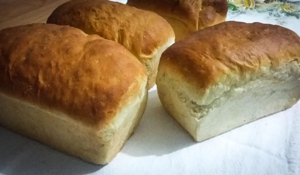 Pão caseiro simples e fofinho