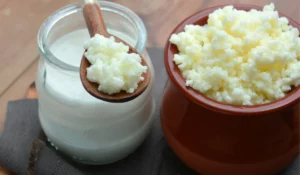 Como fazer Kefir de leite