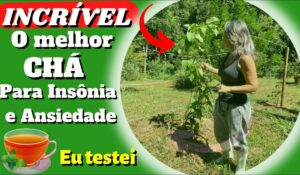 Chás para curar a insônia: 6 ervas que melhoram o seu sono