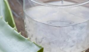 Como fazer suco de aloe vera