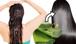 Receita de Shampoo de Babosa Caseiro