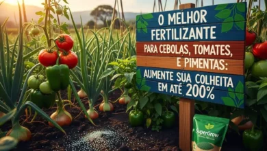O Melhor Fertilizante para Cebolas, Tomates e Pimentas: Aumente Sua Colheita em Até 200%
