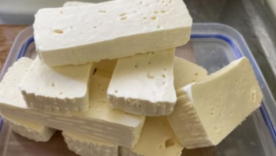 Queijo Coalho Caseiro