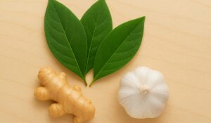 Chá de Folhas de Abacate com Gengibre e Alho: O Remédio Natural que Combate Infecção Urinária e Inflamação