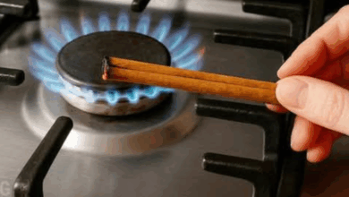 Queimar Pau de Canela em Casa: Purificação e Prosperidade Garantidas!