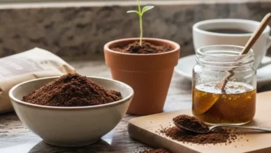 Uma mesa com elementos que mostram como **reutilizar borra de café**, incluindo um vaso de planta com borra, uma tigela de borra, um pote de esfoliante caseiro e uma xícara de café.