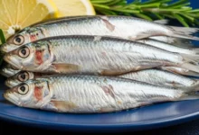 O Fim do Salmão Caro: 2 Peixes Poderosos em Ômega-3 que Cabem no Seu Bolso