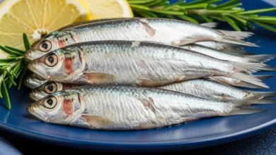 O Fim do Salmão Caro: 2 Peixes Poderosos em Ômega-3 que Cabem no Seu Bolso