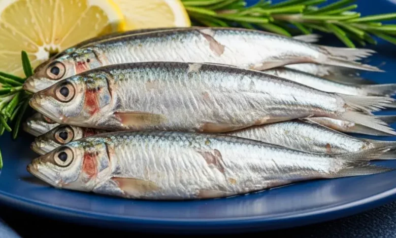 O Fim do Salmão Caro: 2 Peixes Poderosos em Ômega-3 que Cabem no Seu Bolso