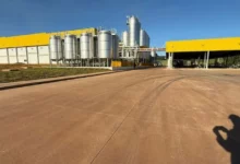 Fábrica de queijos investe R$ 612 milhões no Paraná e transforma cidade de 9 mil habitantes