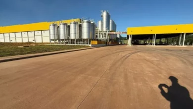 Fábrica de queijos investe R$ 612 milhões no Paraná e transforma cidade de 9 mil habitantes