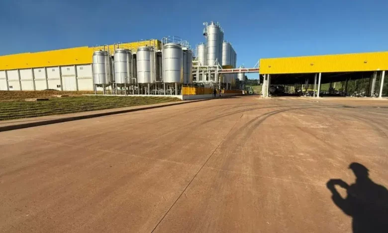 Fábrica de queijos investe R$ 612 milhões no Paraná e transforma cidade de 9 mil habitantes
