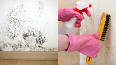 Muitas donas de casa está fazendo isso para acabar com a umidade das paredes de vez