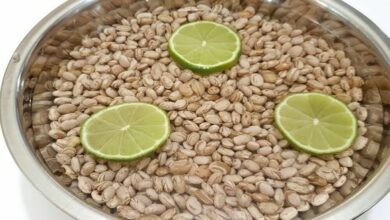 feijão de molho na bacia com 3 rrodelas de limão cortados - Jeito certo de deixar feijão e leguminosas de molho