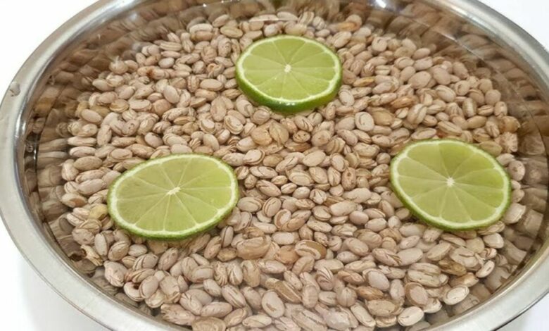 feijão de molho na bacia com 3 rrodelas de limão cortados - Jeito certo de deixar feijão e leguminosas de molho