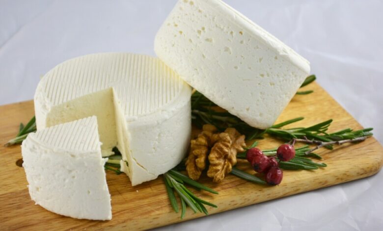 queijo feito em casa