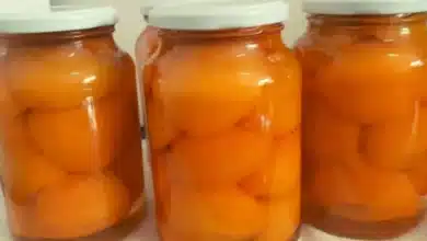 Compota de Pêssego Caseira: Receita Fácil, Deliciosa e Duradoura