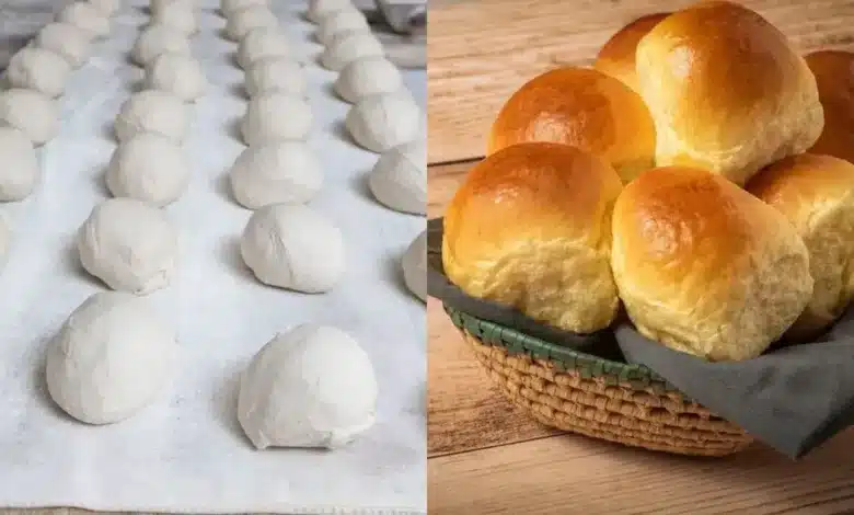 Pão Caseiro de Liquidificador: Receita Rápida que Fica Fofinho e Combina com Café!