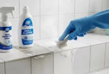 Como Limpar Rejunte Encardido e Evitar Mofo em Banheiros com 8 Truques Simples