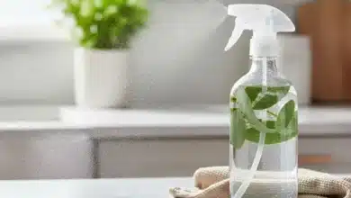 O Superdesinfetante Caseiro com Mistura de Álcool e Eucalipto para Higiene Total