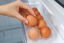 Ovos na porta da geladeira: O risco real para sua saúde