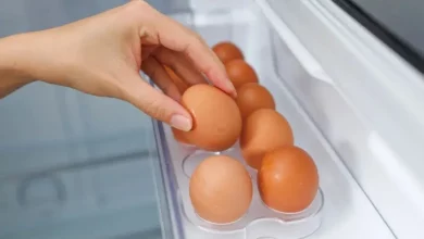 Ovos na porta da geladeira: O risco real para sua saúde